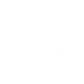 github logo white