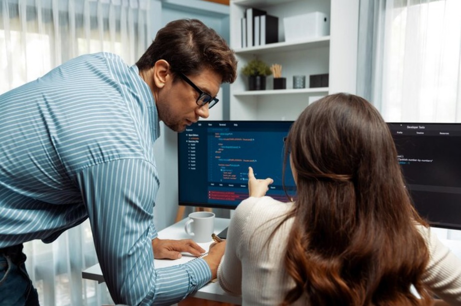 software testing